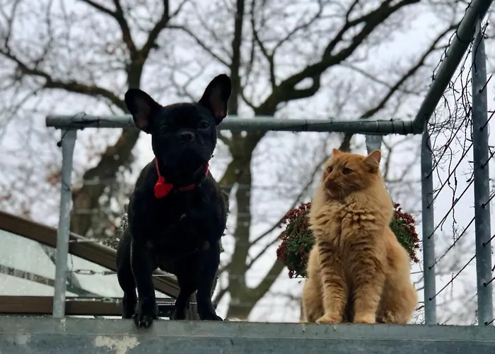 Holiday home - B - Vyhlidka Nad Rekou